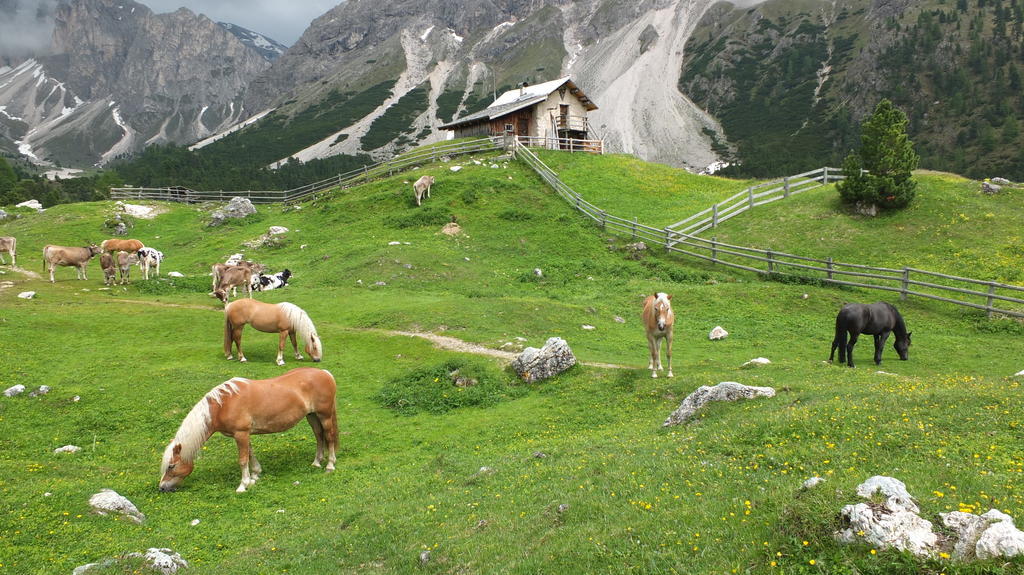 Garni Le Chalet Santa Cristina Val Gardena Eksteriør billede