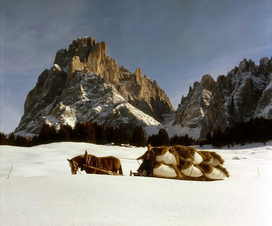 Garni Le Chalet Santa Cristina Val Gardena Eksteriør billede