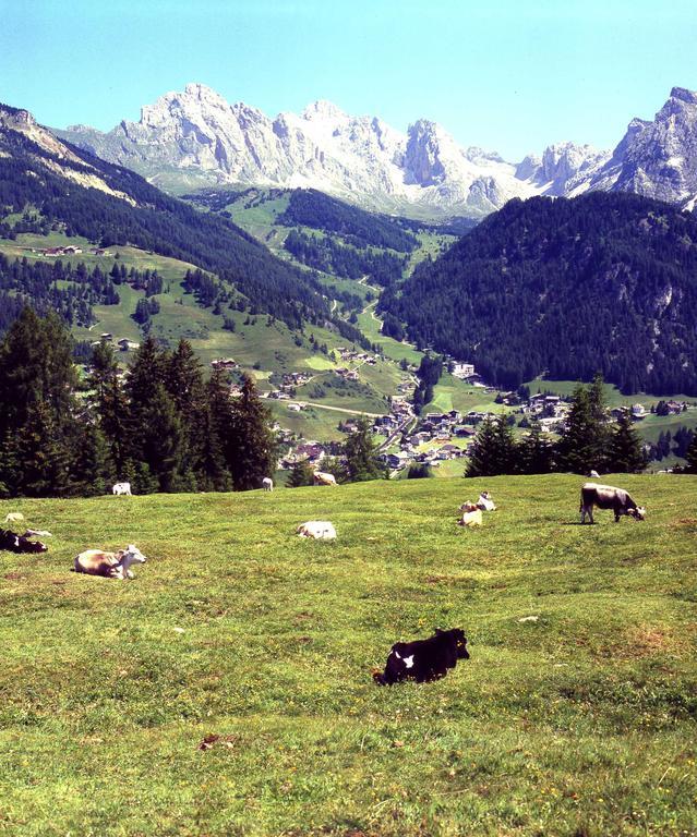 Garni Le Chalet Santa Cristina Val Gardena Eksteriør billede