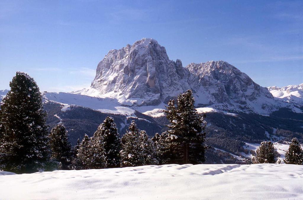 Garni Le Chalet Santa Cristina Val Gardena Eksteriør billede
