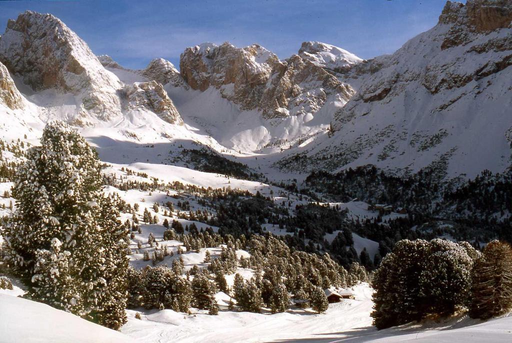 Garni Le Chalet Santa Cristina Val Gardena Eksteriør billede