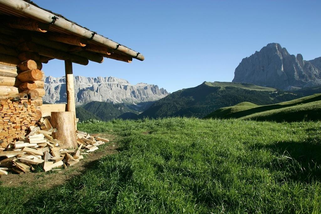 Garni Le Chalet Santa Cristina Val Gardena Eksteriør billede